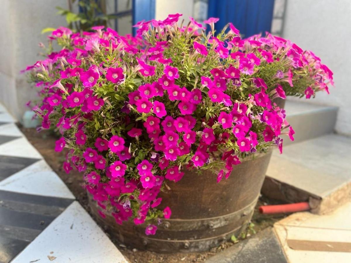 Ahuzat Shaul Seaside Bed and Breakfast Hadera Buitenkant foto